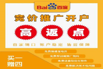 百度竞价代运营成功案例解析